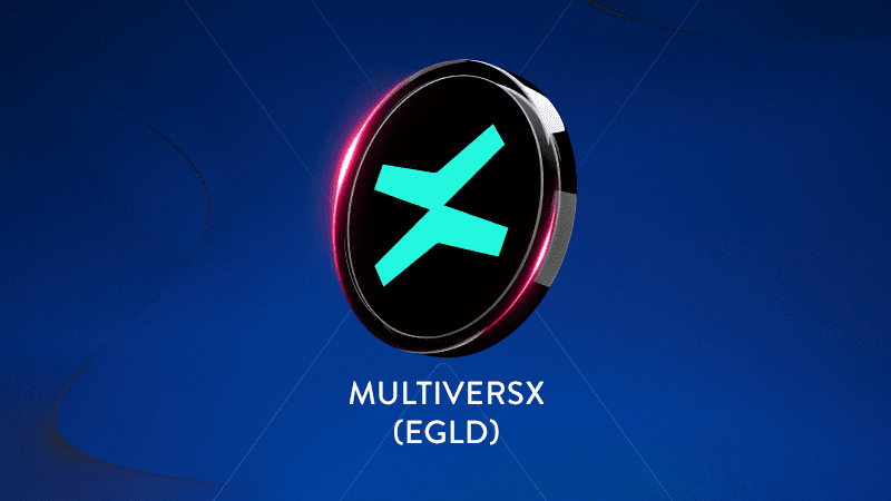 MultiversX'in logosu