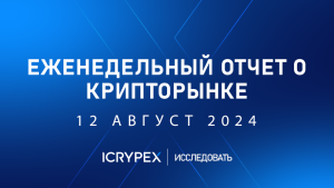 еженедельный отчет о крипторынке 12 август 2024